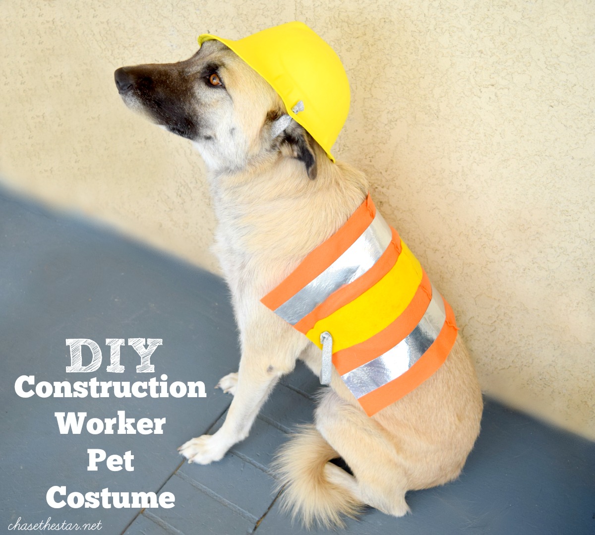 DIY Construction Worker Pet Costume #michaelsmakers